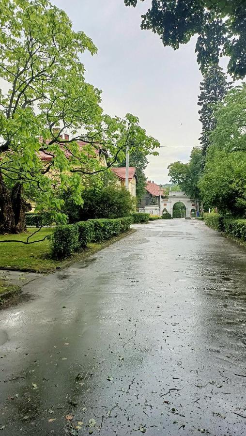 Apartament U Agaty Czernichow Krakow Zator Buitenkant foto