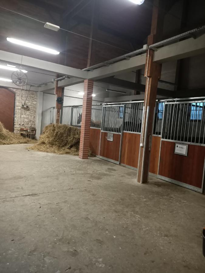 Apartament U Agaty Czernichow Krakow Zator Buitenkant foto